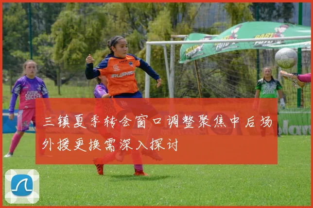 三镇夏季转会窗口调整聚焦中后场外援更换需深入探讨